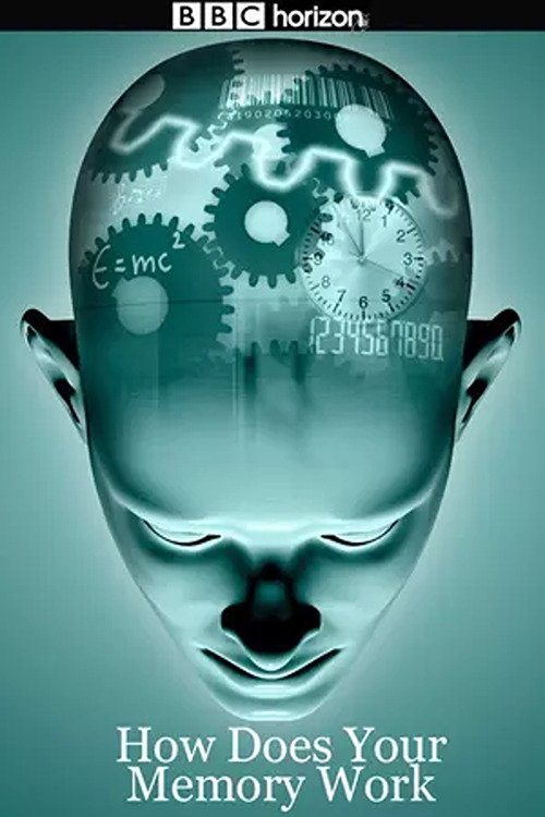 Постер Horizon: How Does Your Memory Work?